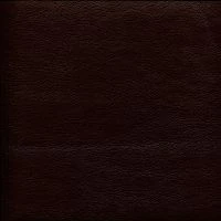 Terra effect221
