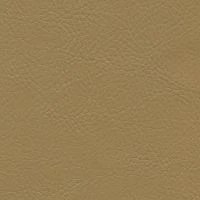 aries557